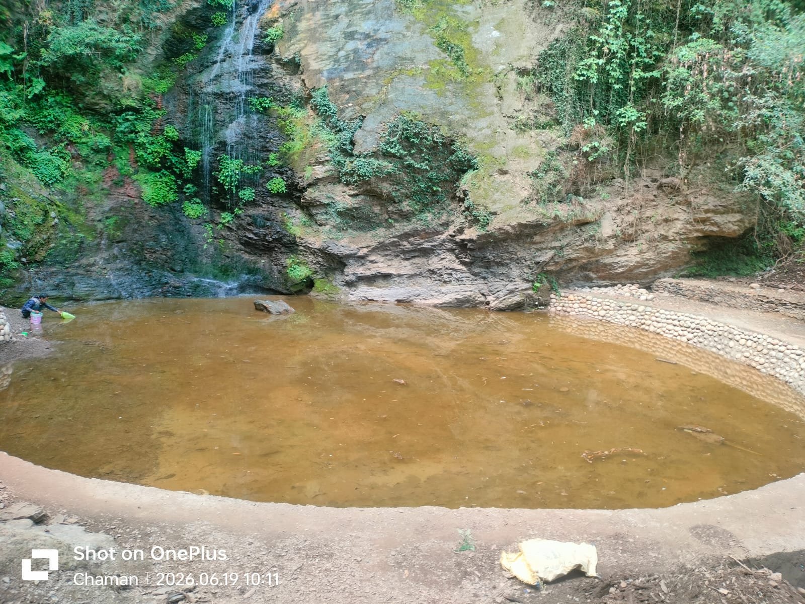 Chadwick Fall