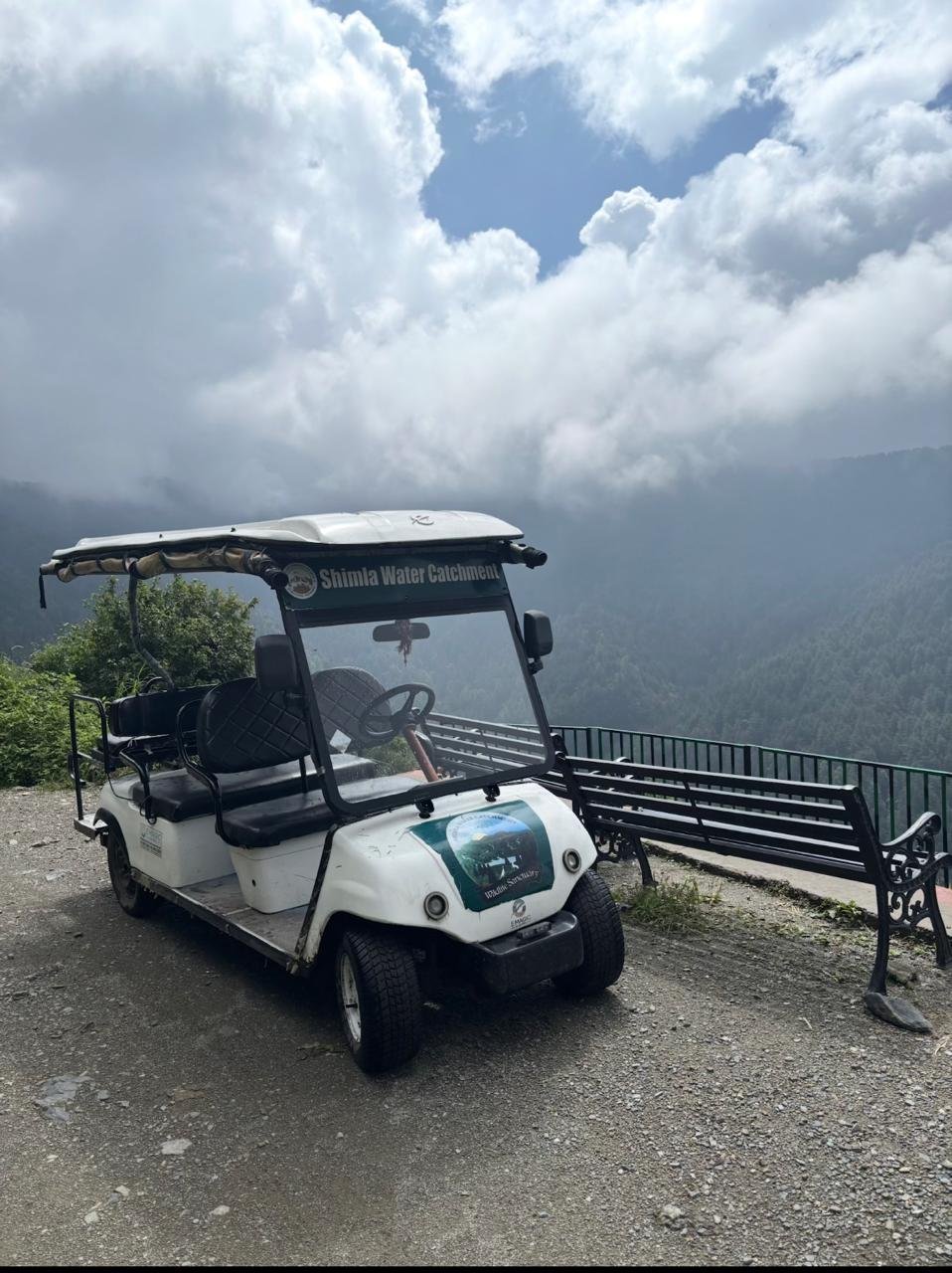 E-Cart Jungle Safari