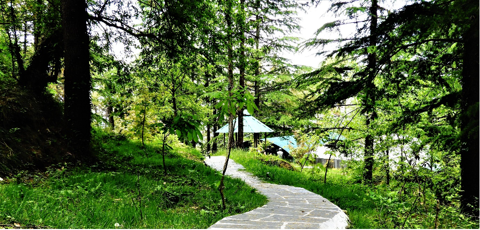 Western Himalayan Temperate Arboretum